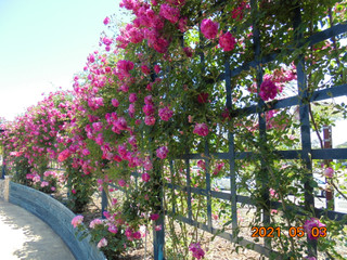 Dsc03853