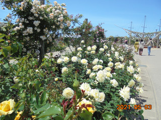 Dsc03856