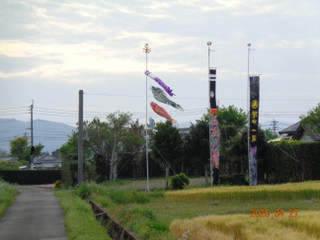 Dsc01296