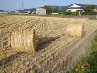 Dsc01312