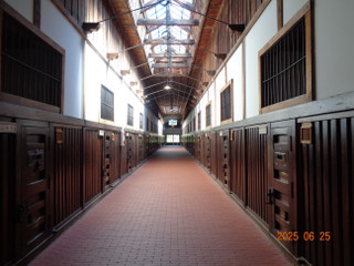 Dsc01485