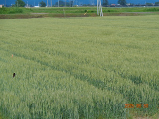 Dsc01563