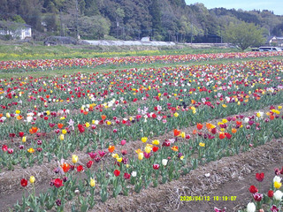 Dscf0014