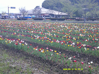 Dscf0015