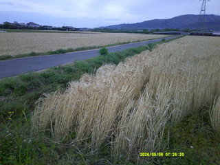 Dscf0193