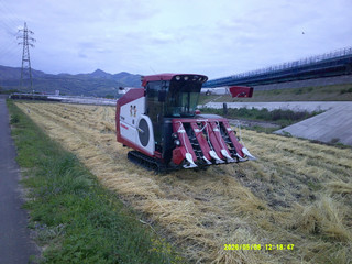 Dscf0197