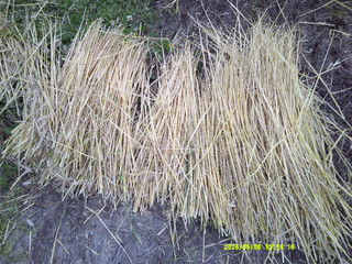 Dscf0198