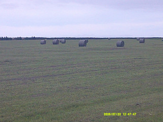 Dscf0133