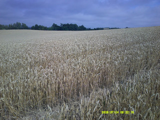 Dscf0164