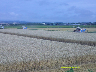 Dscf0167
