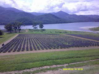 Dscf0172